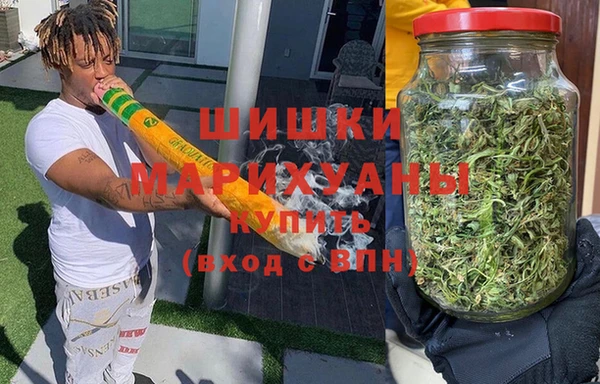 apvp Каменка