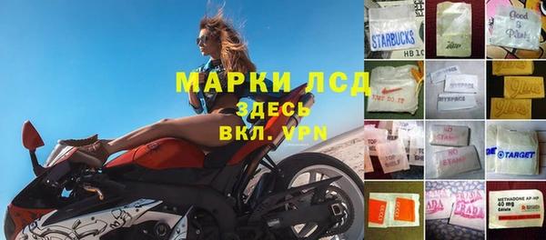 прущие крисы Чекалин