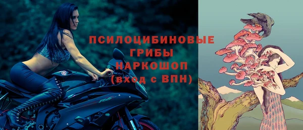 ешки Курчалой