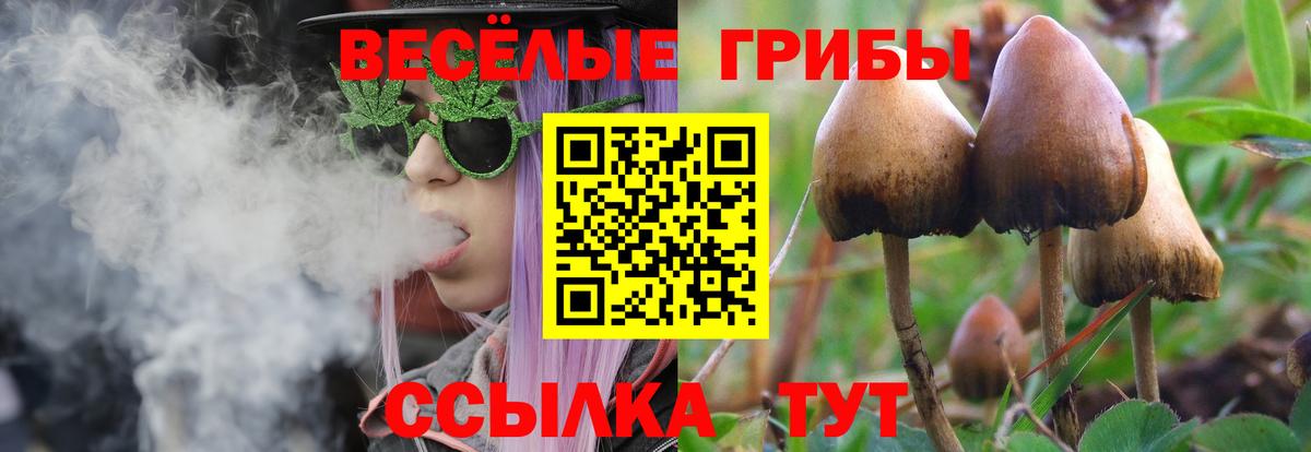 Галлюциногенные грибы Psilocybe  Вход с VPN  Магнитогорск 